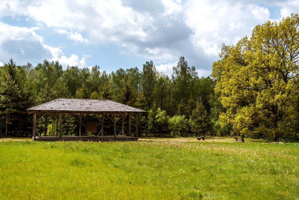 Vabalyne Guest House Vilkiskes Exterior foto