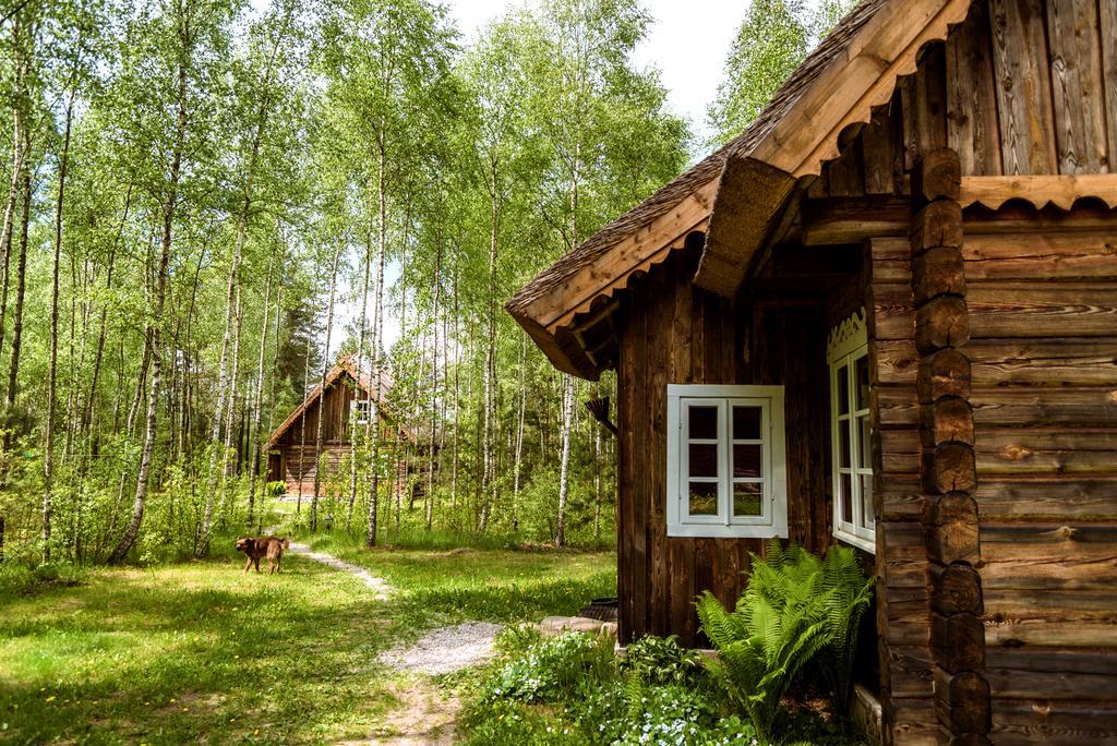Vabalyne Guest House Vilkiskes Exterior foto