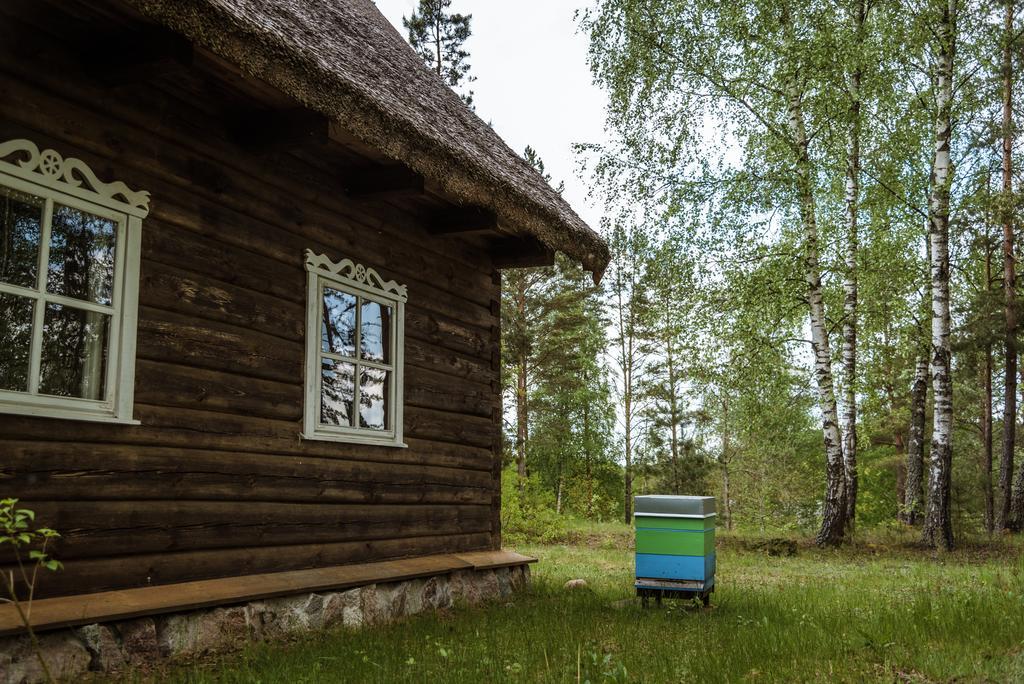 Vabalyne Guest House Vilkiskes Exterior foto