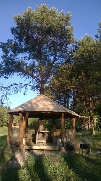 Vabalyne Guest House Vilkiskes Exterior foto